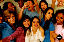 PM4R Professional Certification