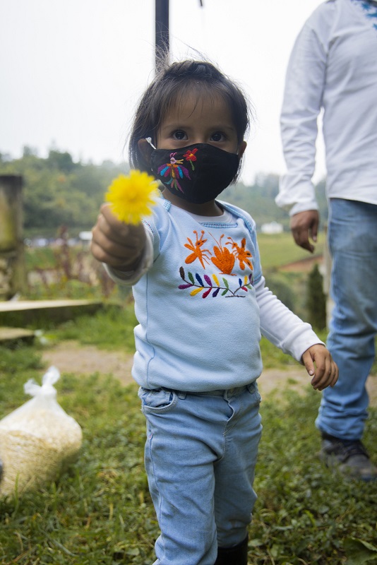 Attachment jade flor.jpg