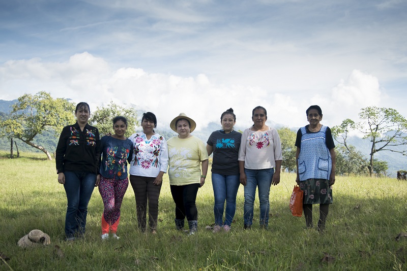 Attachment nosotras.jpg